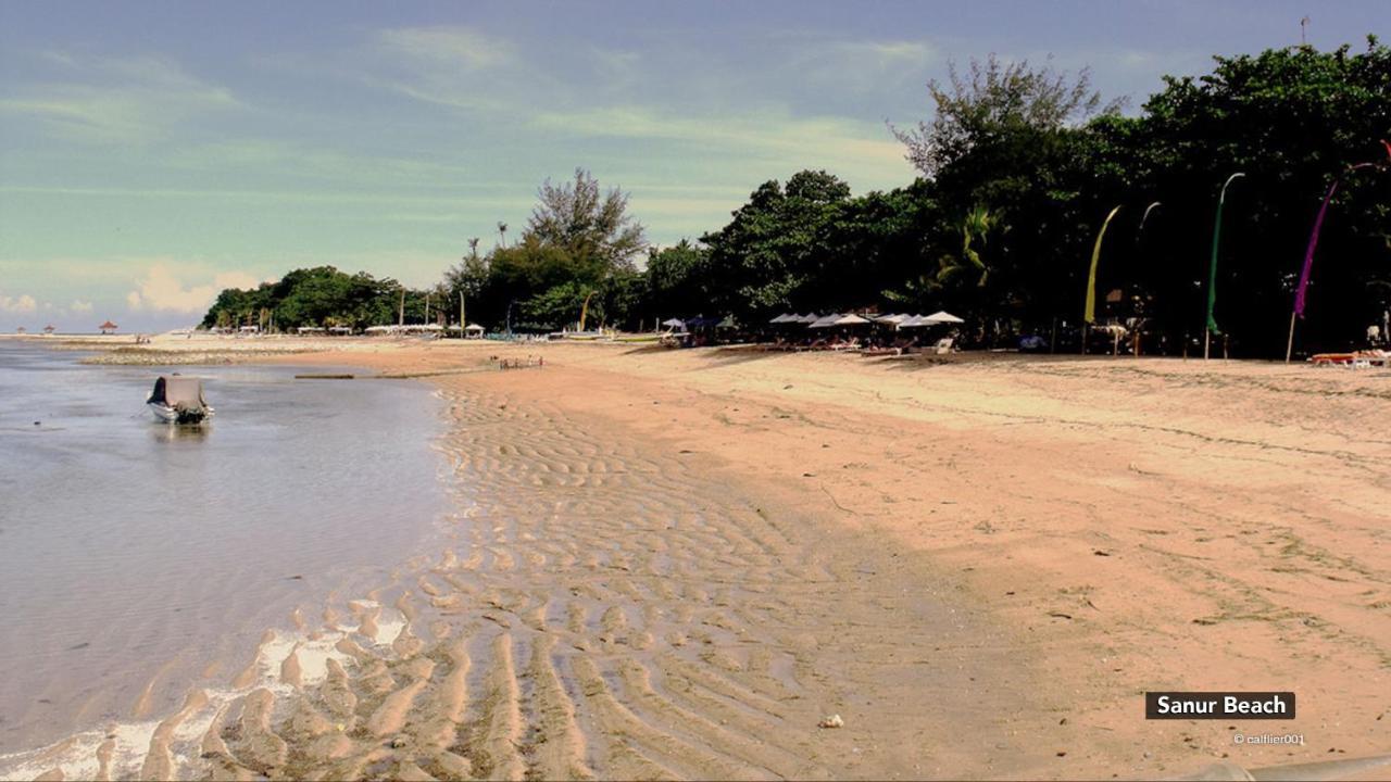 Zen Villa Sanur Art Экстерьер фото